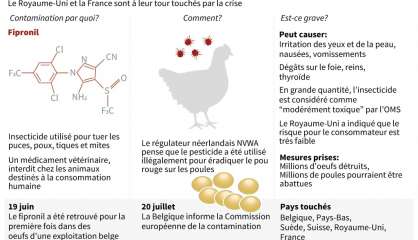 Oeufs contaminés: ce que l'on sait