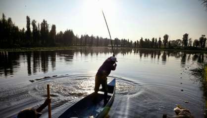 A Mexico, les pêcheurs veulent sauver le jardin aztèque de Xochimilco