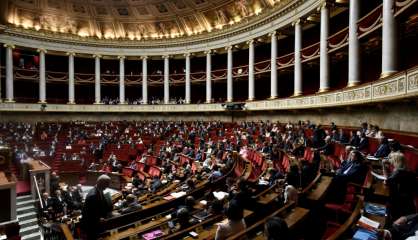 Moralisation: l'Assemblée adopte le texte supprimant la réserve parlementaire  