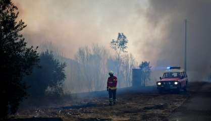 Incendies au Portugal: relative accalmie avant un week-end à risque