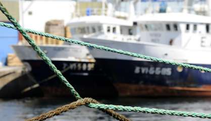 Plus de 45 tonnes de thon rouge saisies sur un chalutier portugais