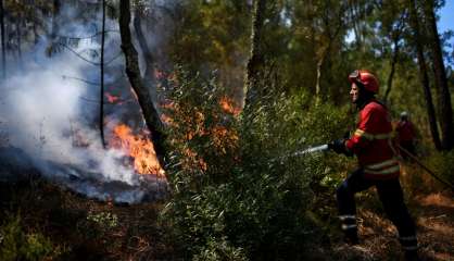 Le Portugal sous la canicule, en proie à de violents incendies