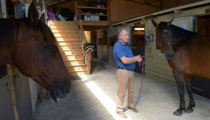 Au coeur du Périgord, une retraite pour les chevaux de la police de Sa Majesté