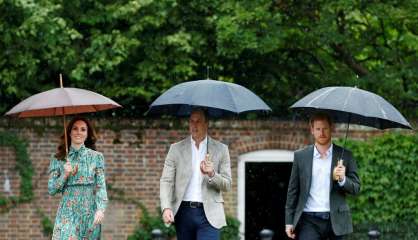 Les fils de Diana rendent un hommage sobre à leur mère