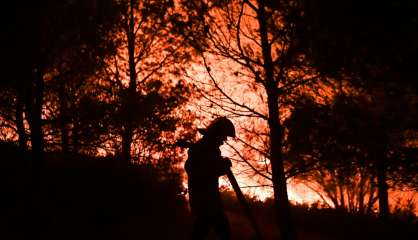 Plus de 240 hectares brûlés près d'Aubagne, des vacanciers évacués