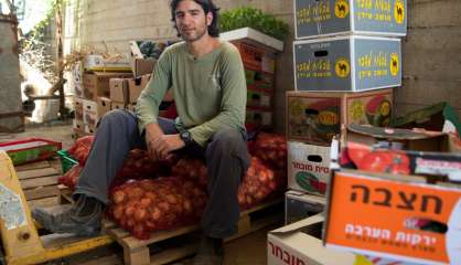 De la high-tech aux légumes bio au pays des startups