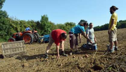 Dans une ferme de Picardie, des détenus en fin de peine retrouvent la lumière