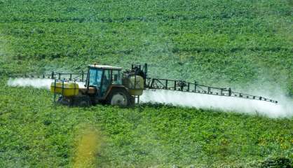 Glyphosate: l'agence européenne de sécurité des aliments défend son rapport