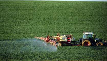 Trafic de pesticides: jusqu'à 2 ans de prison ferme requis