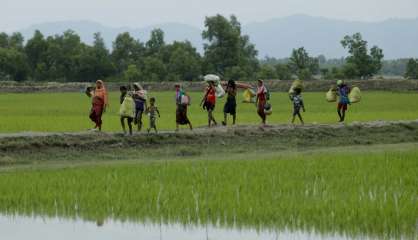 Rohingyas de Birmanie: le bilan pourrait dépasser les 1.000 morts 