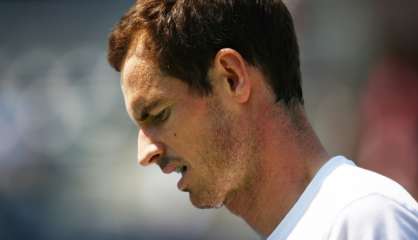 Tennis: Murray, blessé, ne rejouera 