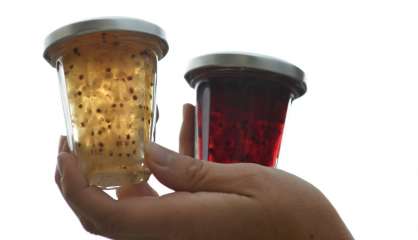 La confiture de groseilles de Bar-le-Duc: une friandise de luxe faite à la plume d'oie