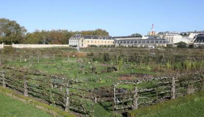 Face aux défis du temps, le Potager du Roi à Versailles cherche des mécènes