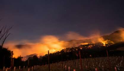 Californie: les riches vignobles en proie à de gigantesques incendies