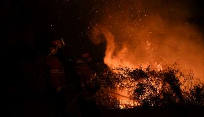 Des feux de forêt font près de 40 morts au Portugal et en Espagne