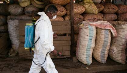 Madagascar: l'épidémie de peste continue de se propager