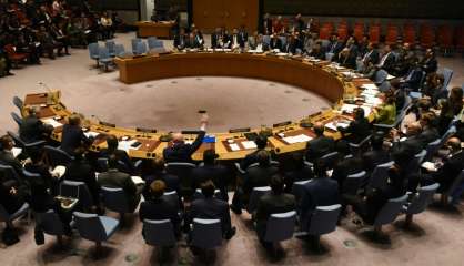 ONU: veto de Moscou à une résolution sur les armes chimiques en Syrie