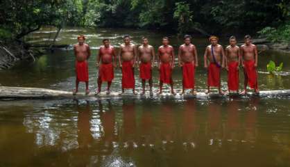 Amazonie: les tribus aiguisent leurs flèches contre les envahisseurs 