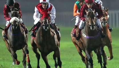 Au Qatar, une femme jockey écrit l'histoire