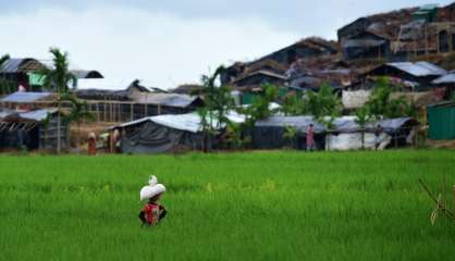 Rohingyas: la trêve observée par les rebelles s'achève lundi soir