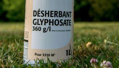 UE: vote attendu sur le glyphosate, mais l'incertitude persiste