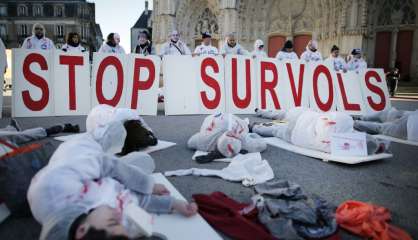 ND-des-Landes: partisans et opposants fourbissent leurs armes