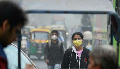 À New Delhi, l'inégalité des petits combats contre la pollution