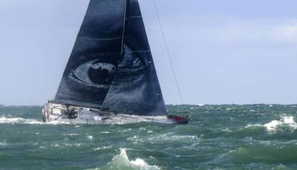 Transat Jacques-Vabre: Vivo a Beira, le bateau qui tape à l'œil des favelas