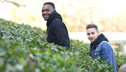 Bleus: Mandanda N.1, pour une fois