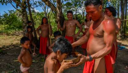 En pleine jungle amazonienne, on trinque au caxiri