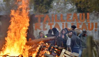 ND-des-Landes: une évacuation quelle que soit la décision sur l'aéroport, dit Castaner