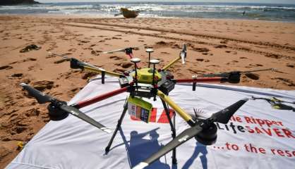 Australie: des drones surveillent les plages à la recherche de requins