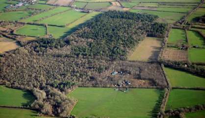 Aéroport Notre-Dame-des-Landes: avis contrastés au nord et au sud de la Loire 