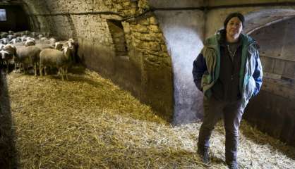 Le Larzac, un exemple à suivre pour Notre-Dame-des-Landes ?