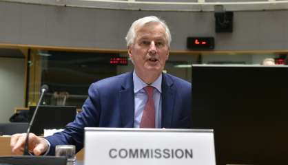 L'UE adopte sa position pour négocier une transition post-Brexit jusqu'à fin 2020