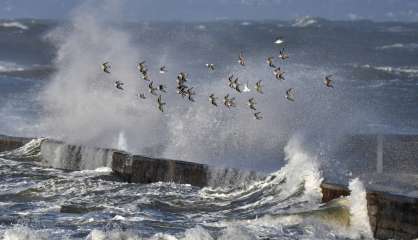 Après la tempête Carmen, Eleanor arrive sur la France