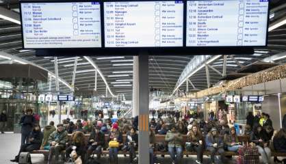 Des vents violents tuent trois personnes et paralysent le trafic nord-européen