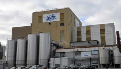 Lactalis : 25 cas sporadiques de salmonellose sur 10 ans selon l'Institut Pasteur