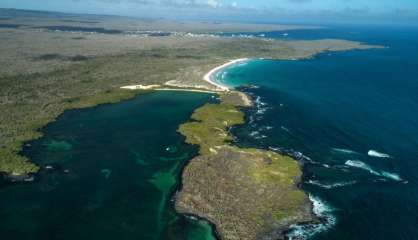 Les Galapagos, un paradis avec droits d'admission