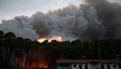 Feu de forêt 