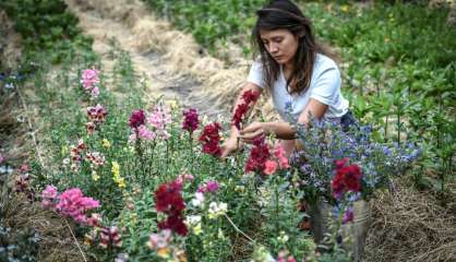 Masami-Charlotte Lavault, floricultrice, fait grandir les fleurs en plein Paris