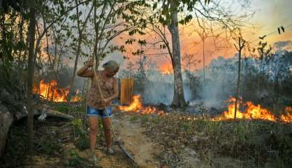 En Amazonie, déforestation et impunité attisent les feux