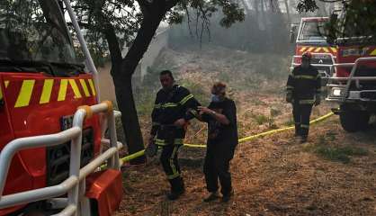 Plusieurs centaines d'hectares parcourus par un incendie dans les Bouches-du-Rhône