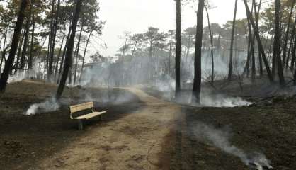 Incendie d'Anglet: feu 