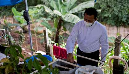 Au Salvador, pisciculture et potagers contre les pénuries en temps de pandémie