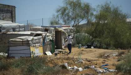 Espagne: en pleine pandémie, des migrants saisonniers abandonnés à leur sort