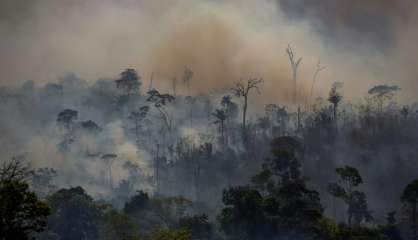 Amazonie brésilienne: très forte augmentation des incendies