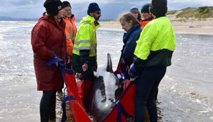 Tasmanie: sinistre besogne pour les sauveteurs des 