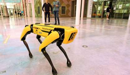 Nancy: un robot-chien pour remplacer l'homme dans les endroits dangereux