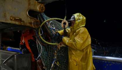 Brexit: les pêcheurs boulonnais se font un sang d'encre